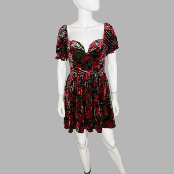 Petal & Pup Anders Black and Red Velvet Floral Print Mini Dress - Picture 1 of 5